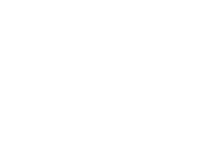 Eviz Yapı